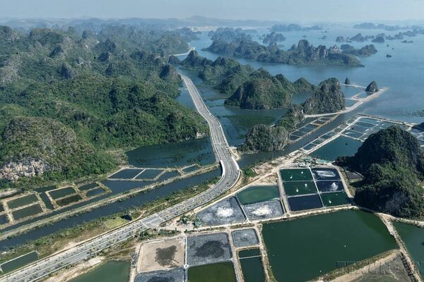 Quang Ninh, Bac Ninh set to become centrally governed cities, creating new growth poles