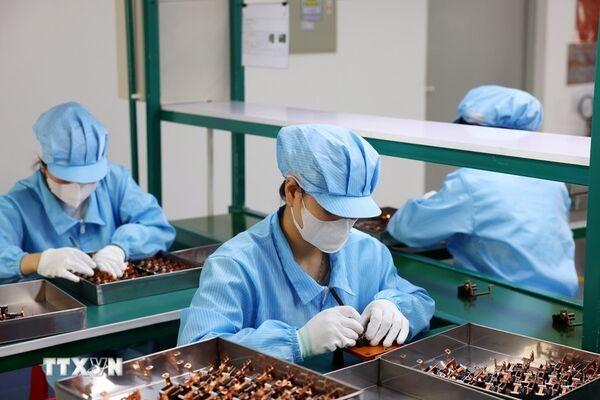 Vietnam-Singapore complementary strengths in semiconductor industry