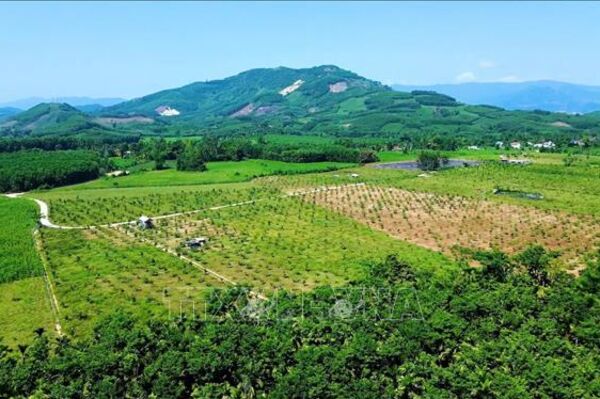 Breathing new life into Pham Van Dong Farm
