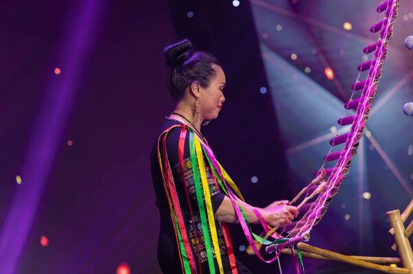 Artist promoting Vietnam’s cultural soft power in Australia