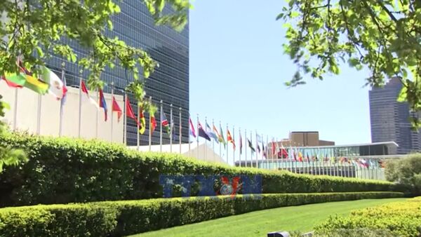 Vietnam affirms strong determination and aspirations for development